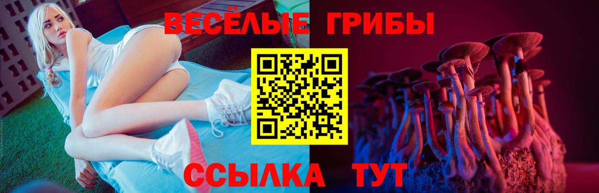 Псилоцибиновые грибы Magic Shrooms Истра